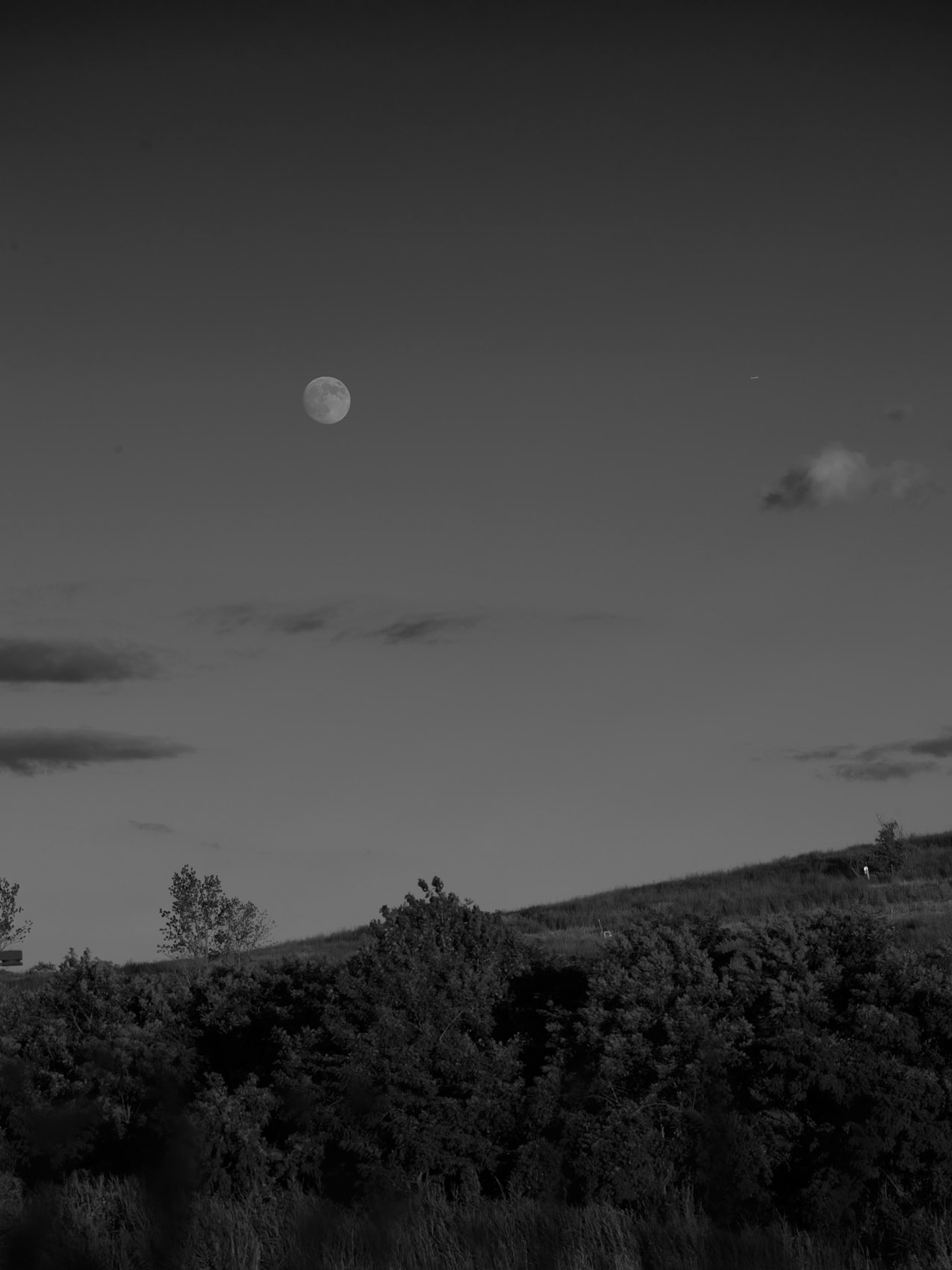 Freshkills-11.JPG