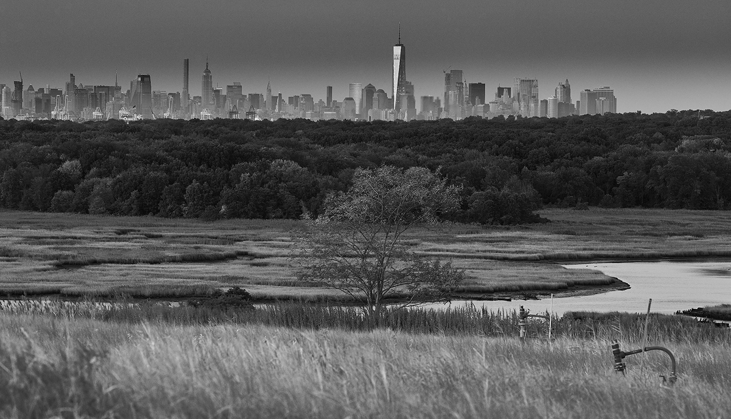 Freshkills-23.JPG